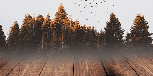 Rasvaläiskät puulattioilla