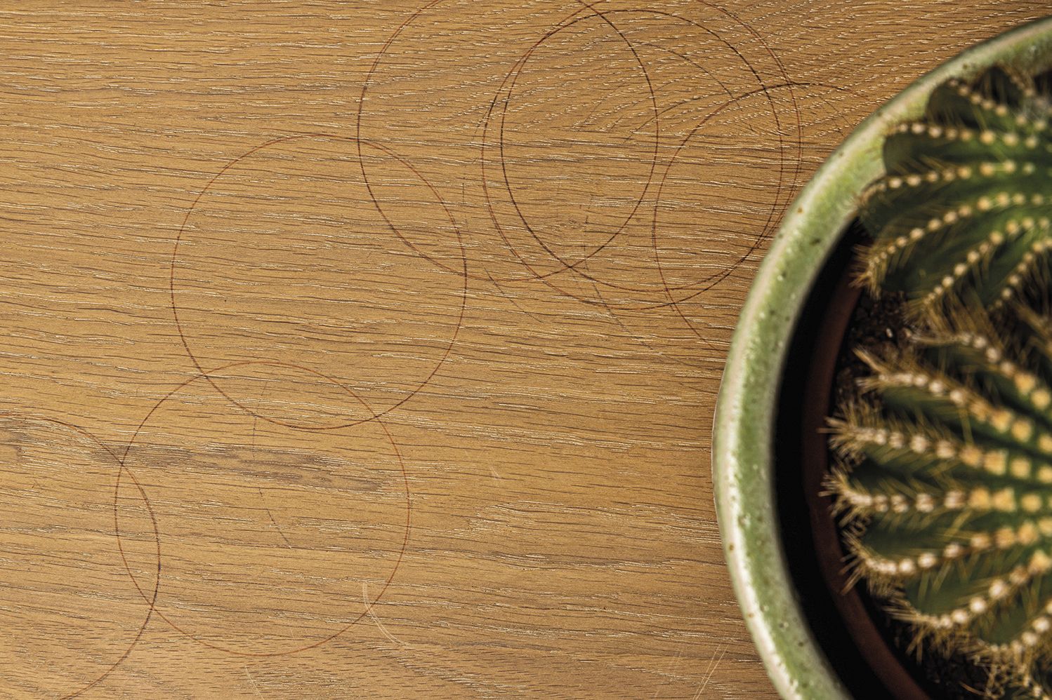 Tammi puun käsittely